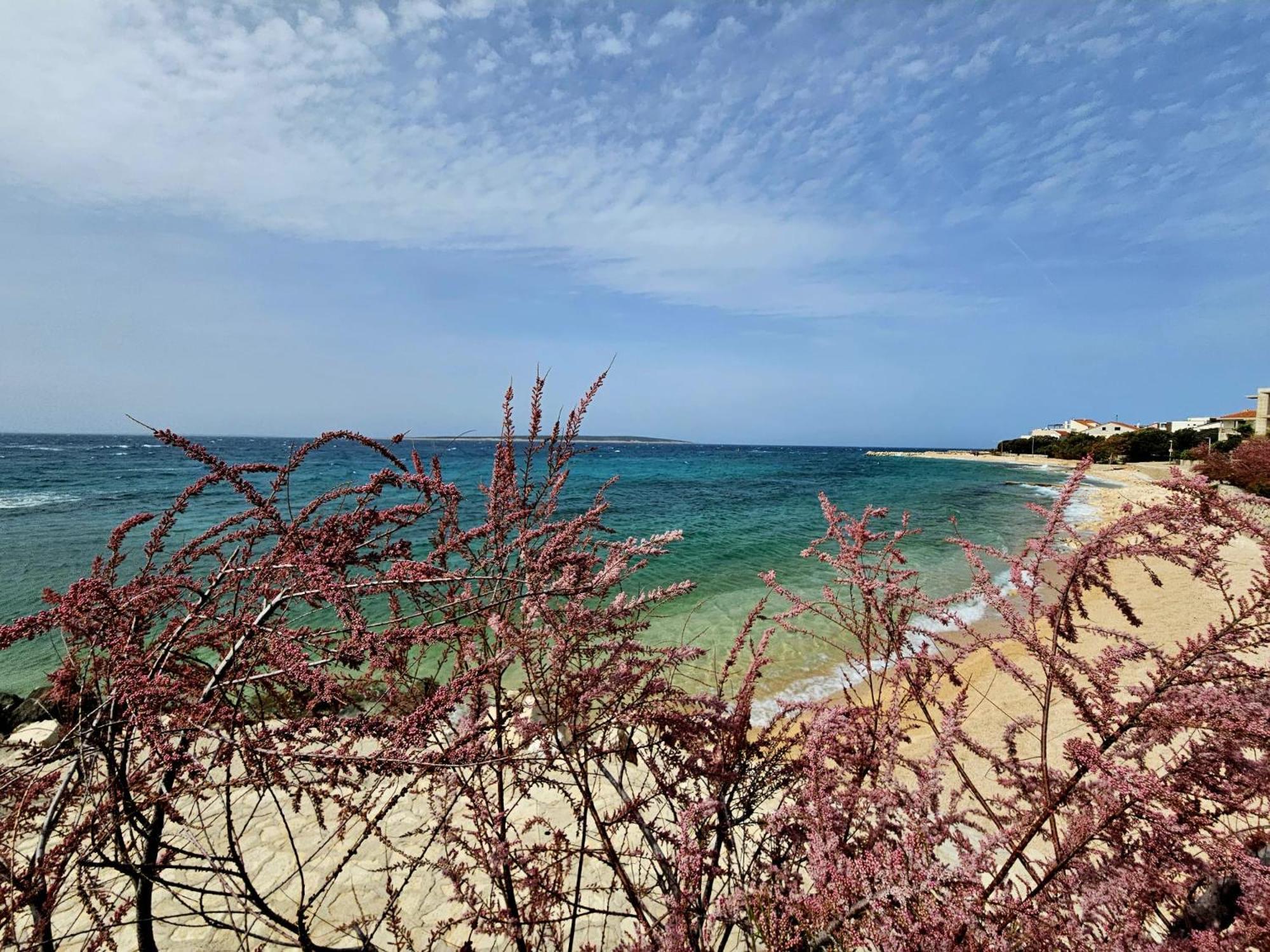 Apartments Cikac II - Modern Apartments By The Beach Mandre Luaran gambar